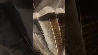 Navisha the Feather Smudge Wand
