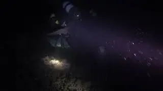 Scuba Night Dive Krk 2019