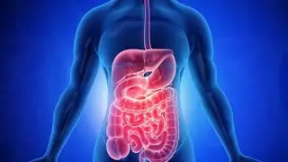 Gastrointestinal 