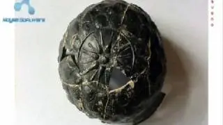 Macedonian King Samuil,Macedonian simbol the sun