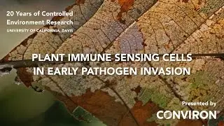 UC Davis, USA, Plant Immune Sensing Cells in Early Pathogen Invasion