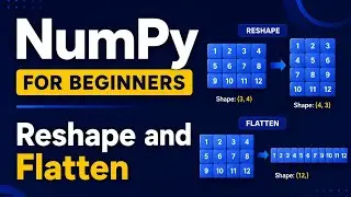 Numpy for Beginners|Reshape|Flatten|How to reshape and flatten arrays in Numpy