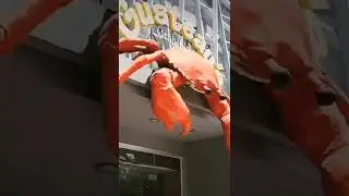 Seafood heaven in General Santos City @GusteausOfficial