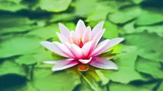 1 Hour of Relaxing Ambience for Sleep - Meditation Calm Chillwave