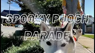 Welcome to Dogtown: Spooky Pooch Parade 2021