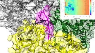 Ligand binding to heat shock protein 90