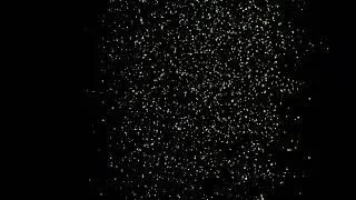 Gold Confetti Explosion Animation on a transparent background. 3D Gold Confetti Animation