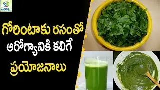 Health Benefits of Henna ( Gorintaku ) - Health Tips In Telugu || Mana Arogyam