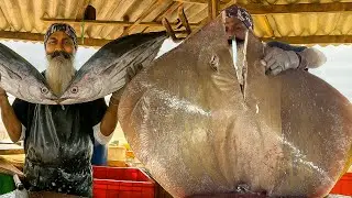 Rural Beach Fish Market Scene with Big Fish Cutting