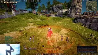 Gold - BDO Warrior Vs Ninja PVP - 1v1