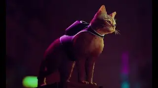 Let's continue Stray!