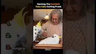 Ranking the funniest fake cake cutting prank #funny
