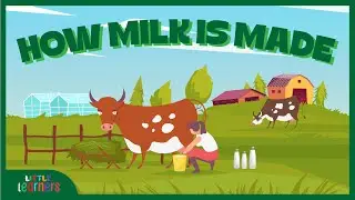 🥛 Where Does Milk Come From? | Milk Farm Tour for Preschool Kids 🐄 #LearningVideo