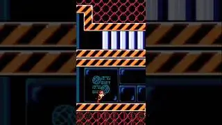 secret in Chip and Dale