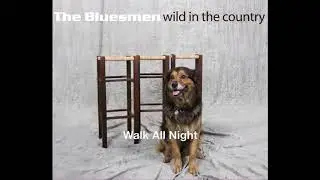 Walk All Night - Wild In The Country The Bluesmen (R.Formignani)