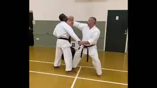 Bunkai applications from Goju Ryu karate kata