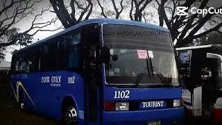 Panda Coach Bus Capcut Template Request