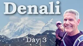 Denali Day 3 {Transit Bus, DENALI, Savage Alpine Trail)