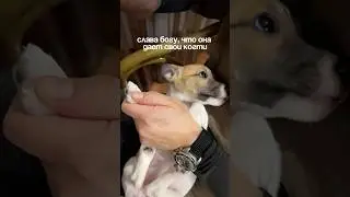 Моя палочка-выручалочка - успокаивающий спрей на вб #578497193