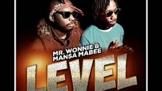 Mr. Wonnie  & Mansa Mabee - Level ( 2020 )