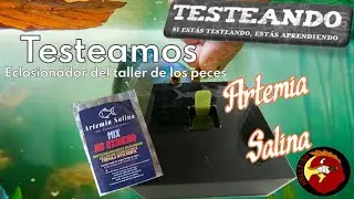 Testeamos Eclosionador y artemia Guadalajara, lo que nos venden, lo que realmente es, enterate...