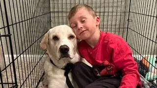 The dog we adopted changed my son's life.
