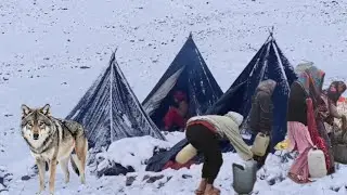Extreme Cold Cooking 😱 Family Life in Snowline Caves & Tents