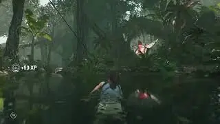Finding missing gear from crashed plane | Shadow of the Tomb Raider | Siptan Gaming