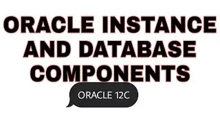 Oracle instance and database components in details.