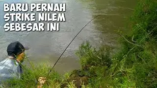 MANCING NILEM DI SUNGAI MENGGUNAKAN TEHNIK DASARAN UMPAN CACING DAPAT NILEM BABON