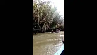 Experience the Mekong River Cruise (Vietnam)