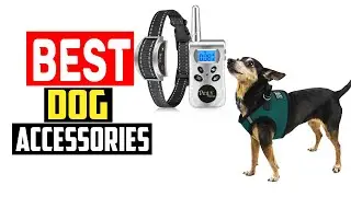 ✅Best dog accessories in 2025