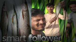 #fishing  odisha cheese 3 kg 1 kg block #lifeisbutadream 🦐🐠🐋 search
