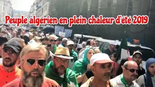 Marche a Alger Regardez Le peuple Algeriens 2019 تحيا الجزائر