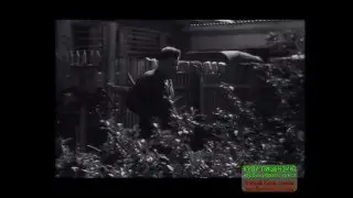 Яблоко от яблони 768x576