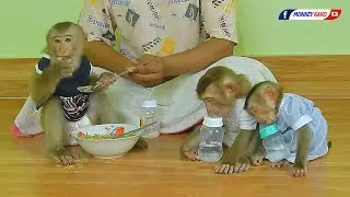 Adorable Kako Eating Porridge While Baby Luna And Tiny Nina Sleeping Well With Milk Bottle