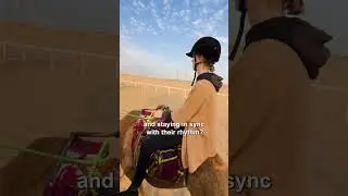 How Riding a Camel Is Different from Riding a Horse 👀🐫👀
