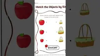 Sorting by Size Worksheets for Preschool | Fun Printable Activities for Early Learning