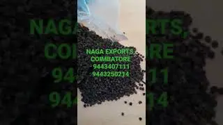 BLACK PEPPER PINHEAD ( SMALL SIZE )