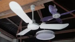 fefcscHD #2 want to see my ceiling fan collection in coment
