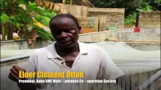 MADE's Fish Farming Intervention in the Niger Delta