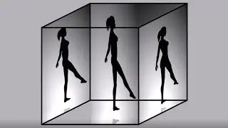 Spinning Dancers in a Necker Cube (Optical Illusion)