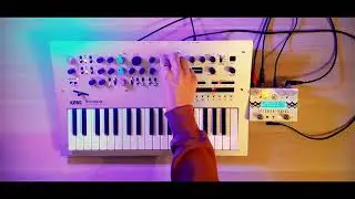 2026 Jamuary┃DAY 8: Minilogue & Specular Tempus