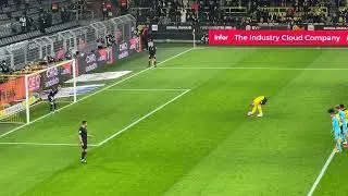 Erling Haaland Tor | BVB 1 : 0 SpVgg Greuther F&uuml;rth