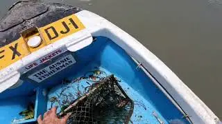 Лучшие советы по ловле крабов, ловля огромного грязевого краба в Квинсленде, Австралия.