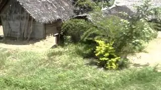 PNG Road Trip