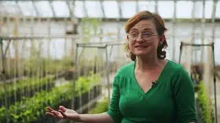 What is it like to be a Plant Developmental Biologist?