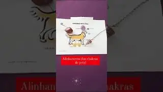Alinhamento de chakras a dist&acirc;ncia para Pets. inf 19 991117021