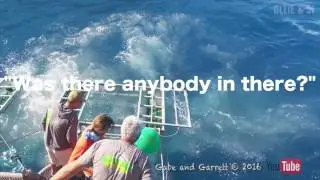 Great White Shark Accident! The Review...