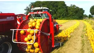 Modren Agriculture Technology Machines Process ,This Tool save your Millions Dollars